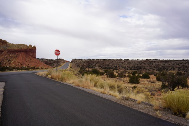 A road with a stop sign at distance.